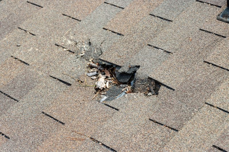 Roof Replacement in Fredericksburg, VA
